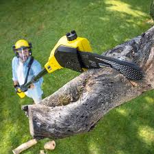 Best Weed Control  in Altadena, CA