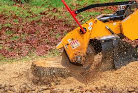 Best Emergency Tree Removal  in Altadena, CA