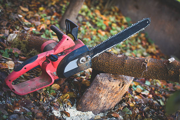 Best Aeration Services  in Altadena, CA